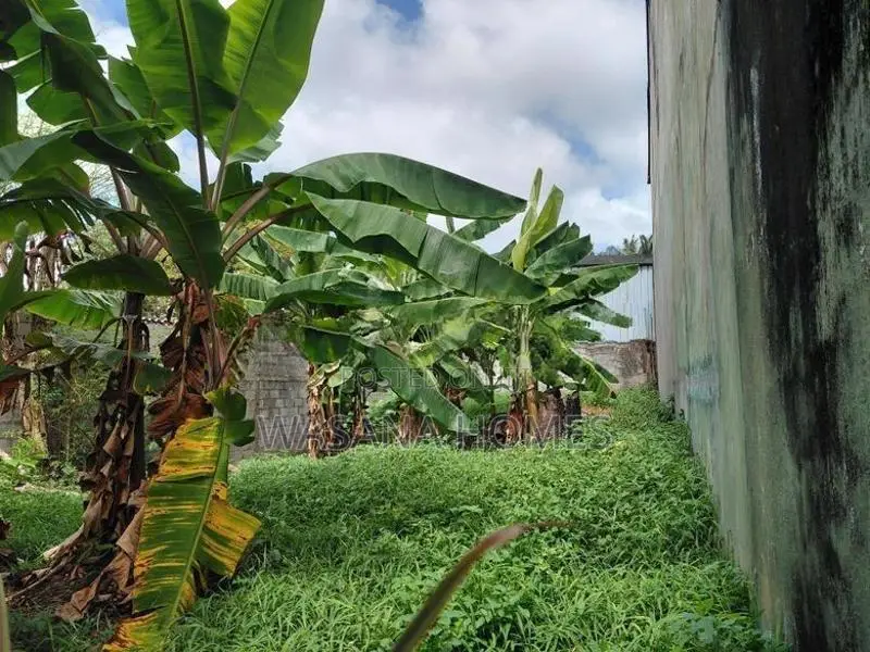 Stunning Land for Sale Talawathugoda