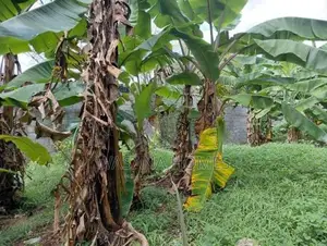 Stunning Land for Sale Talawathugoda