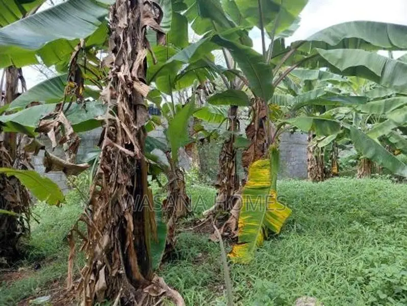 Stunning Land for Sale Talawathugoda