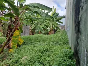 Stunning Land for Sale Talawathugoda