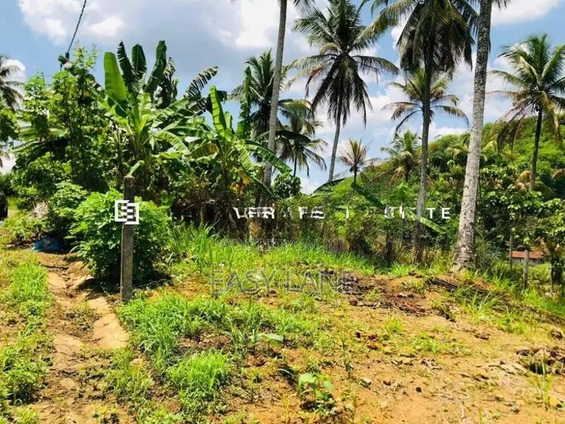 නුවර – කොළඹ ප්‍රධාන මාර්ගයට ඉතා ආසන්න අගනා බිම් කොටසක් විකිණීමට!