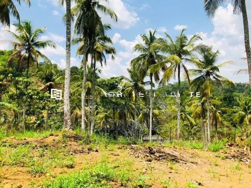 නුවර – කොළඹ ප්‍රධාන මාර්ගයට ඉතා ආසන්න අගනා බිම් කොටසක් විකිණීමට!