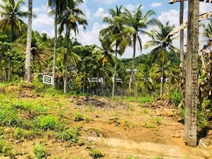 නුවර – කොළඹ ප්‍රධාන මාර්ගයට ඉතා ආසන්න අගනා බිම් කොටසක් විකිණීමට!