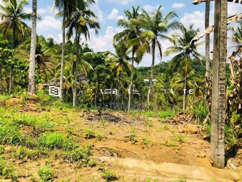 නුවර – කොළඹ ප්‍රධාන මාර්ගයට ඉතා ආසන්න අගනා බිම් කොටසක් විකිණීමට!