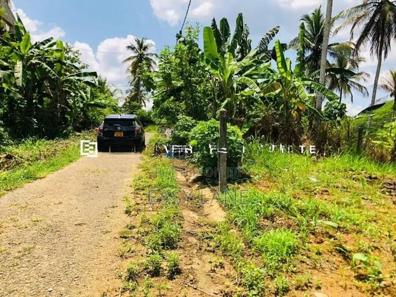 නුවර – කොළඹ ප්‍රධාන මාර්ගයට ඉතා ආසන්න අගනා බිම් කොටසක් විකිණීමට!