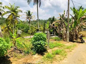 නුවර – කොළඹ ප්‍රධාන මාර්ගයට ඉතා ආසන්න අගනා බිම් කොටසක් විකිණීමට!