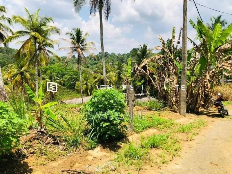නුවර – කොළඹ ප්‍රධාන මාර්ගයට ඉතා ආසන්න අගනා බිම් කොටසක් විකිණීමට!
