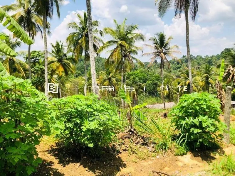 නුවර – කොළඹ ප්‍රධාන මාර්ගයට ඉතා ආසන්න අගනා බිම් කොටසක් විකිණීමට!