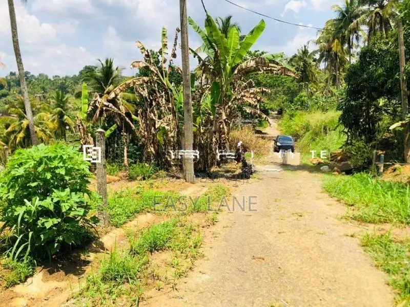 නුවර – කොළඹ ප්‍රධාන මාර්ගයට ඉතා ආසන්න අගනා බිම් කොටසක් විකිණීමට!