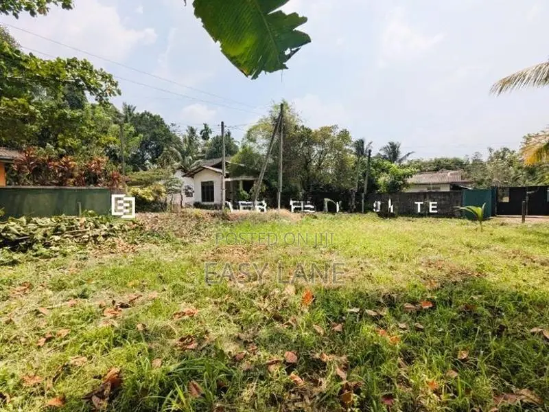 Land for sale in waliweriya