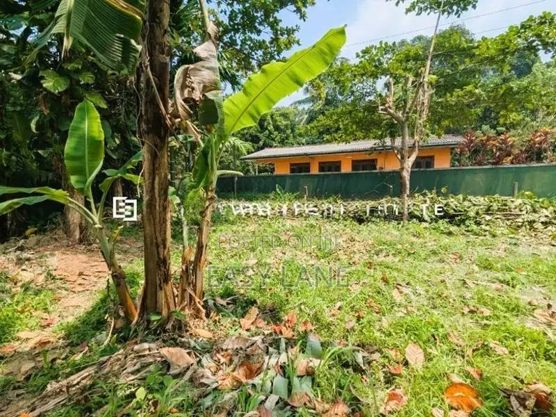 Land for sale in waliweriya