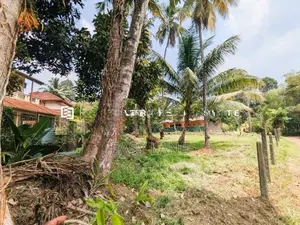 Land for sale in waliweriya