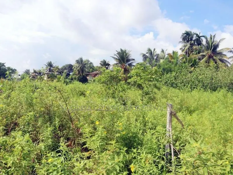 Land for Sale Gamapaha