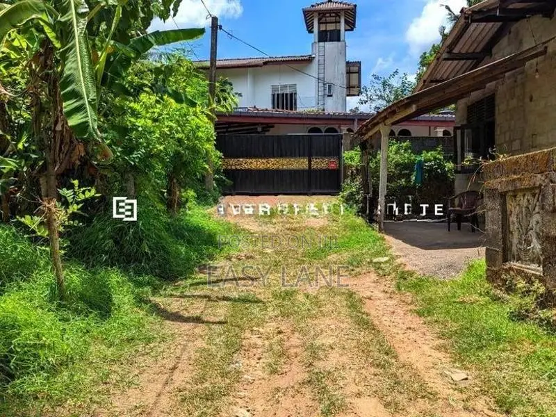 නිට්ටඹුව – මඩුවෙගෙදරින් වටිනා ඉඩමක්!