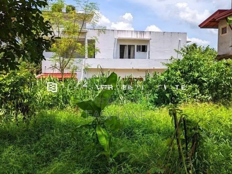 නිට්ටඹුව – මඩුවෙගෙදරින් වටිනා ඉඩමක්!