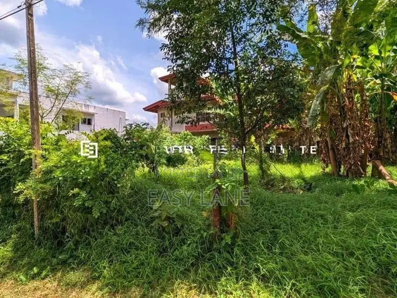 නිට්ටඹුව – මඩුවෙගෙදරින් වටිනා ඉඩමක්!