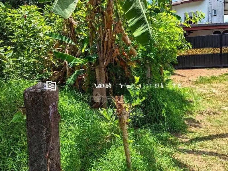 නිට්ටඹුව – මඩුවෙගෙදරින් වටිනා ඉඩමක්!