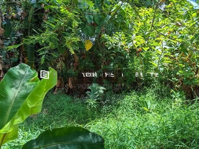 නිට්ටඹුව – මඩුවෙගෙදරින් වටිනා ඉඩමක්!