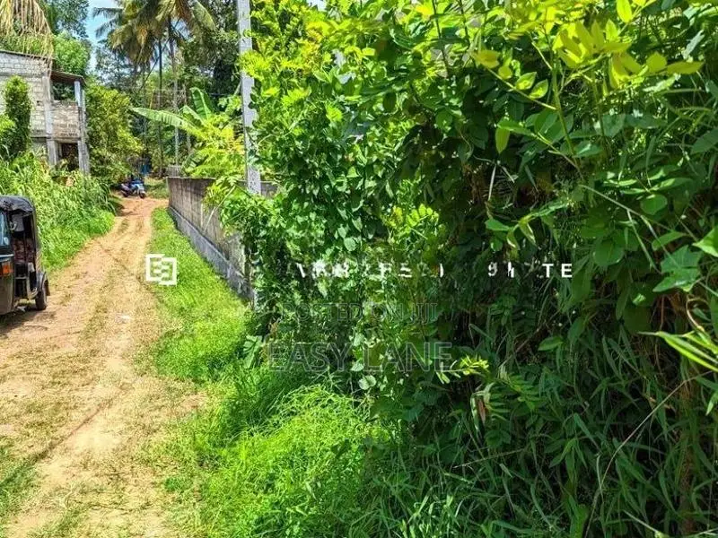 නිට්ටඹුව – මඩුවෙගෙදරින් වටිනා ඉඩමක්!