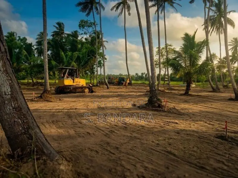 Paddy Field Face Land For Sale in Padeniya,Wariyapola - M17