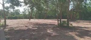 Land for Sale in Tangalla