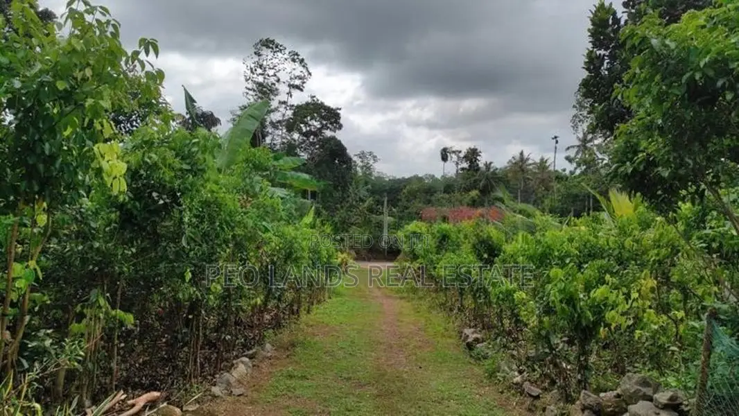(SH434) Newly Built Modern House for Sale in Hikkaduwa