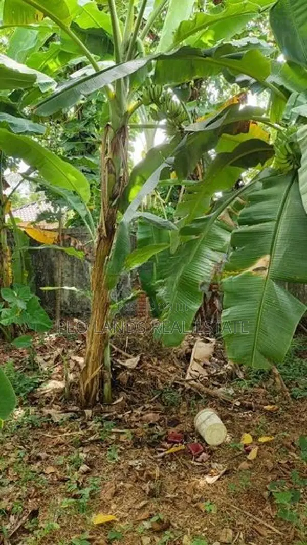 (SL1573) 24 Perch Land for Sale in Rajamalwatta Battaramulla