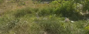 80 Perches Land Sale in Dehiwala Attidiya Road