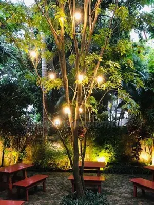 Restaurant For Rent Facing Park Road Colombo 05 [ 2314C ]