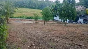 කඩවතට නුදුරින් සුන්දර වෙල්‍ යායකට මායිම්ව ඉඩම