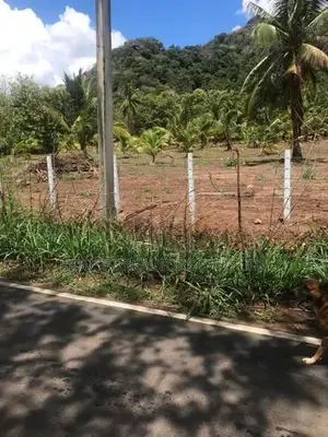 6-Acre Agricultural Land for Sale in Dambulla