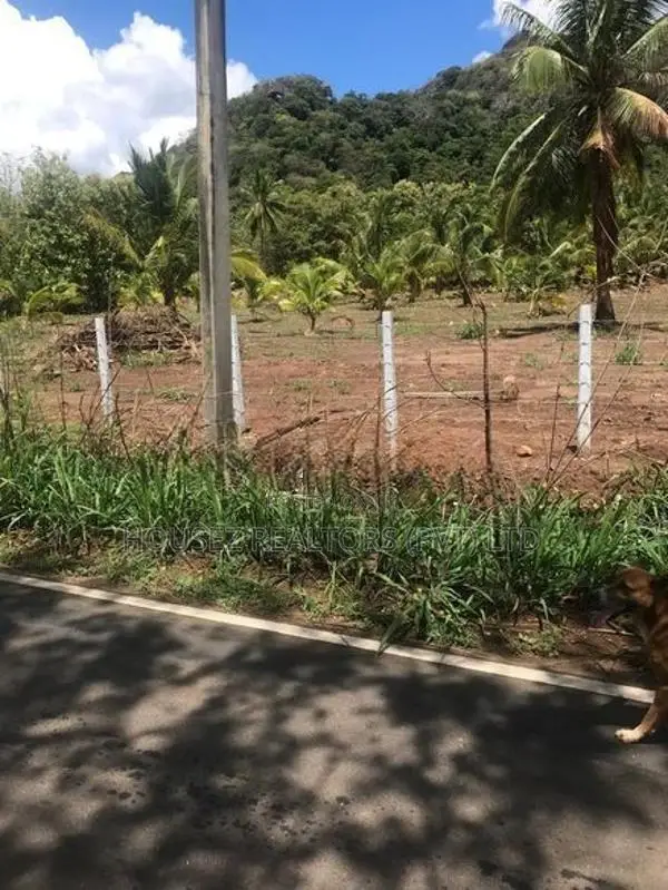6-Acre Agricultural Land for Sale in Dambulla