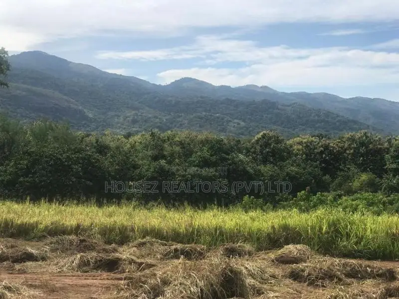 6-Acre Agricultural Land for Sale in Dambulla