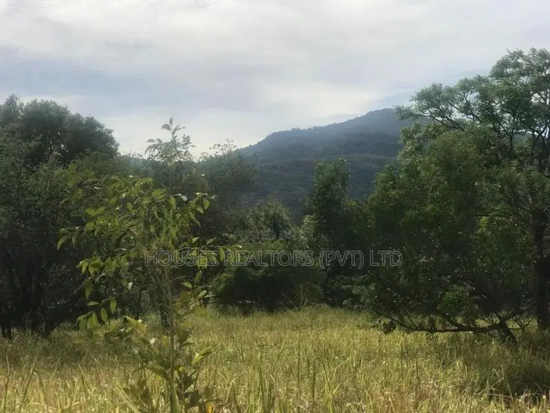 6-Acre Agricultural Land for Sale in Dambulla