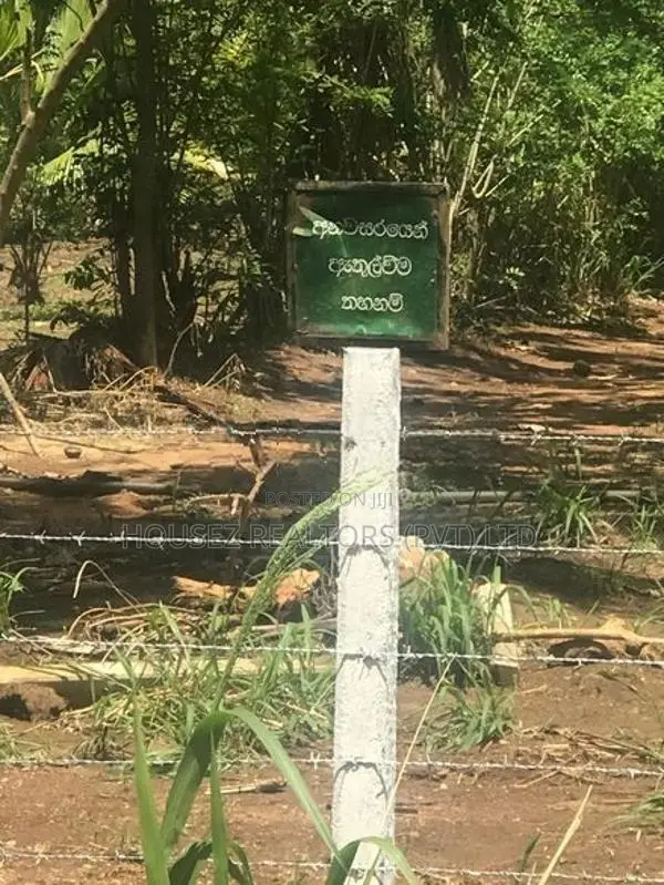6-Acre Agricultural Land for Sale in Dambulla