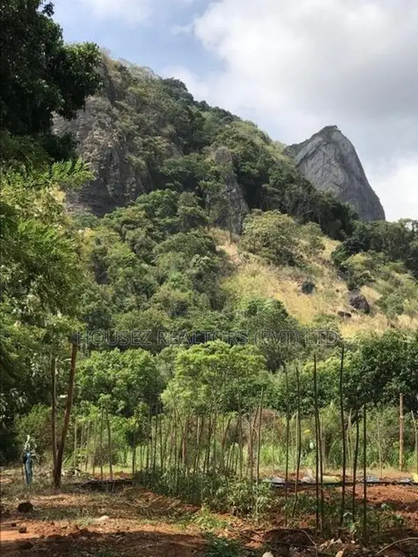 6-Acre Agricultural Land for Sale in Dambulla