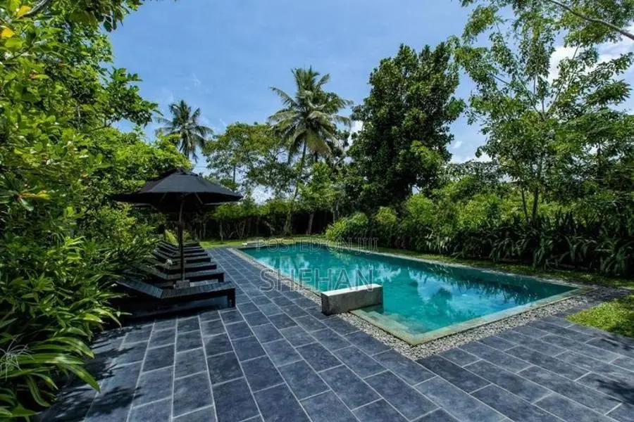 High-Yield Riverfront Boutique Resort - Betota