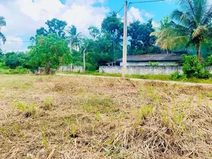 යක්කල ගල්තොටමුල්ල පාරෙන් වටිනා බිම් කොටස් විකිණීමට!