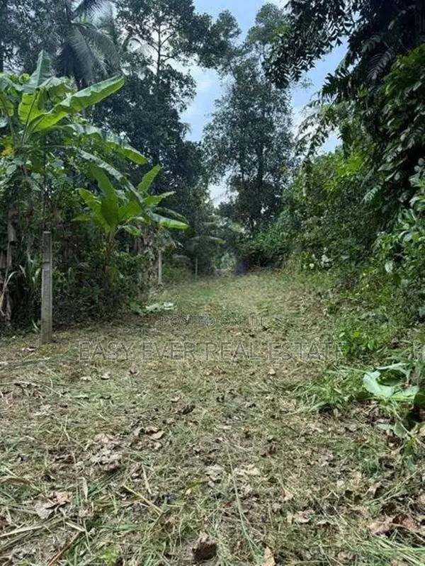Land for sale in Yakkala