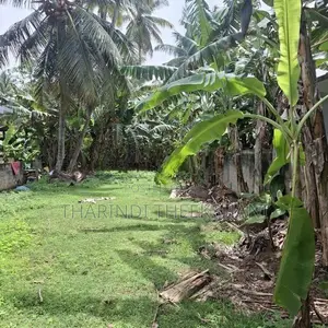 18.5 Perches Prime Land For Sale – Rathgama