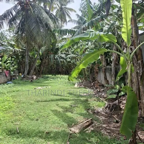 18.5 Perches Prime Land For Sale – Rathgama