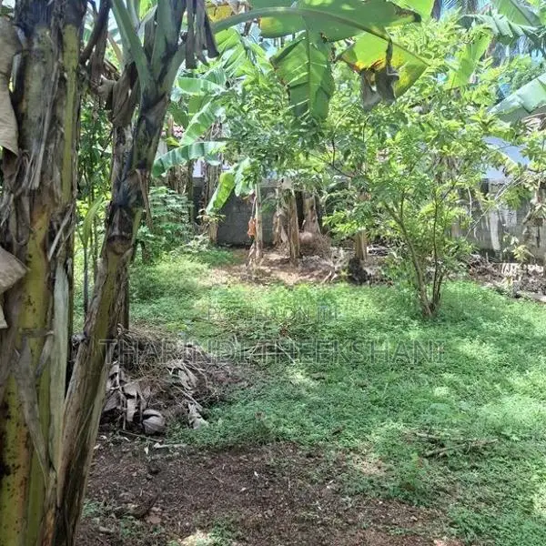 18.5 Perches Prime Land For Sale – Rathgama