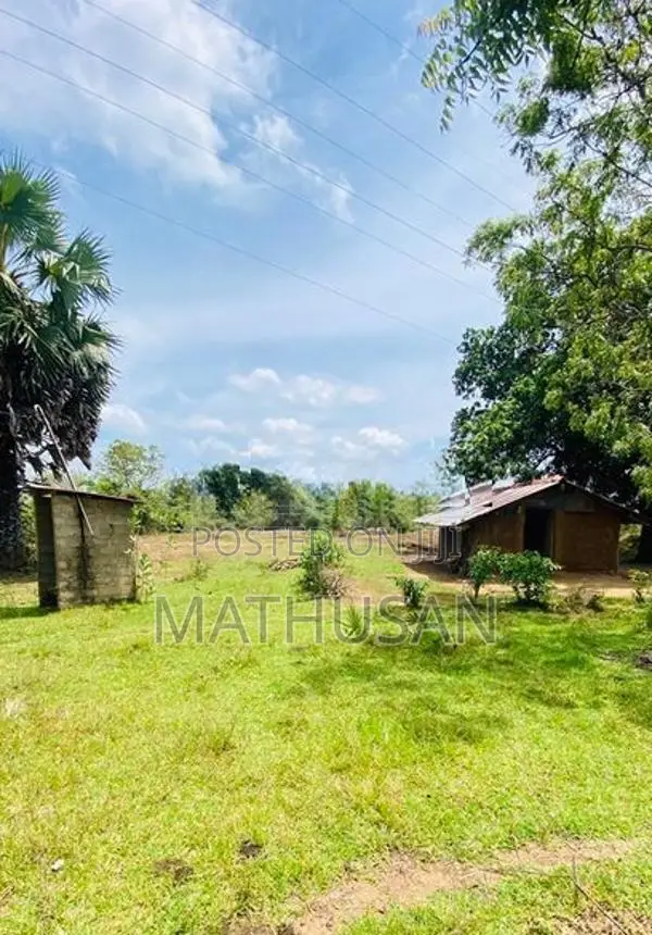 Land for Sale Vavuniya