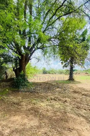 Land for Sale Vavuniya