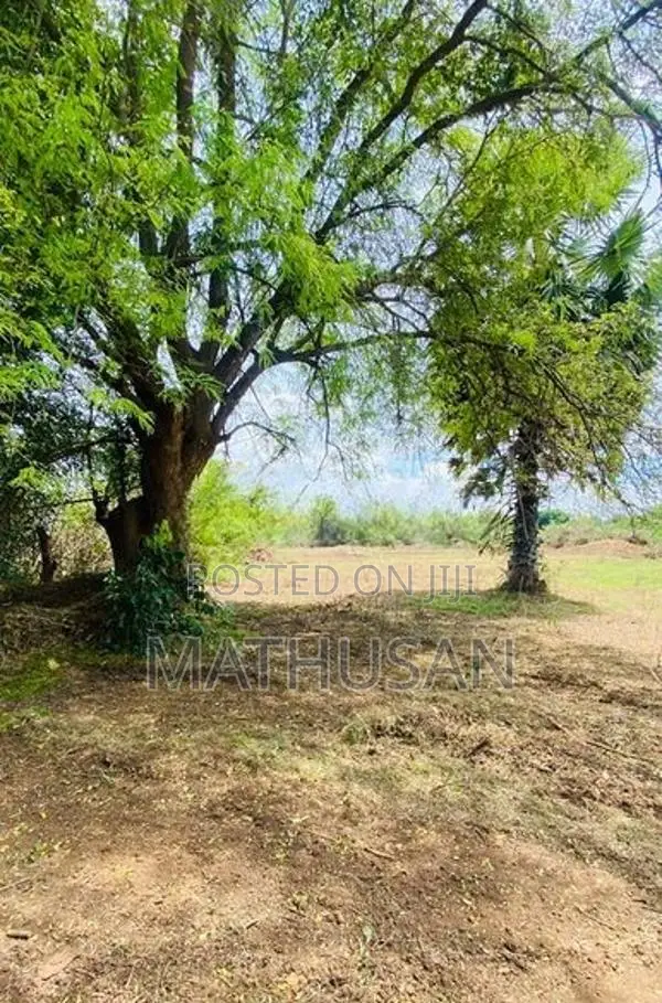 Land for Sale Vavuniya