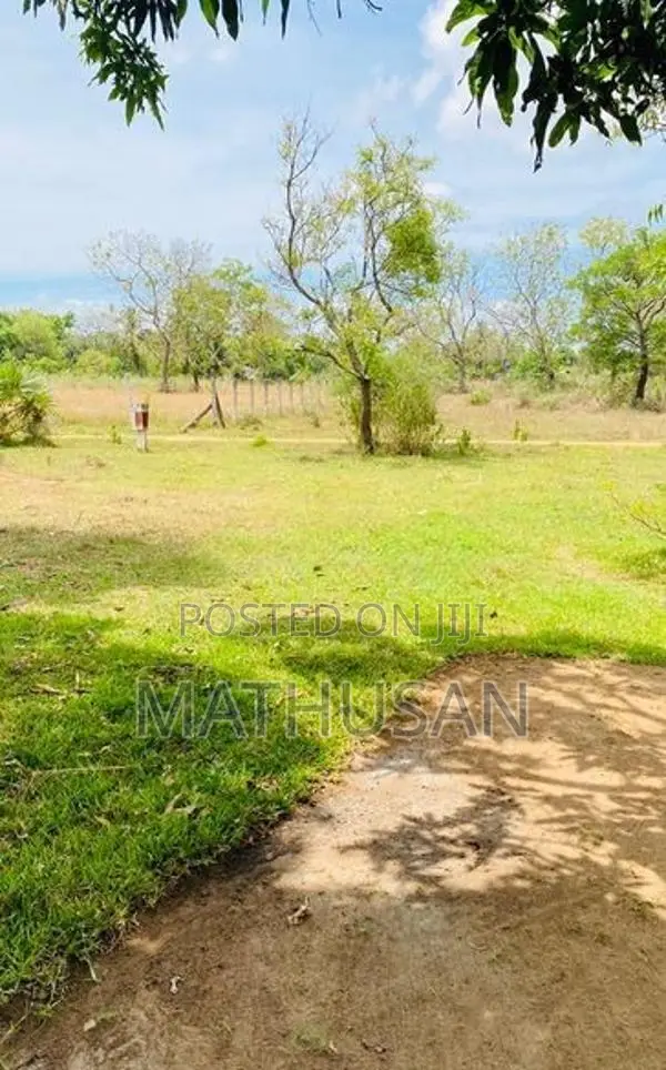 Land for Sale Vavuniya