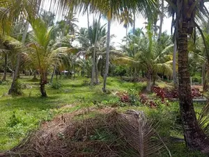 Land for Sale Kalugamuwa