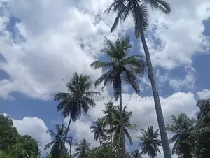 Land for Sale Weerambugedra