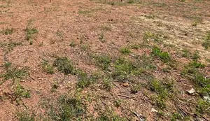 NAWALA : 17 PERCHES PRIME LAND FOR SALE