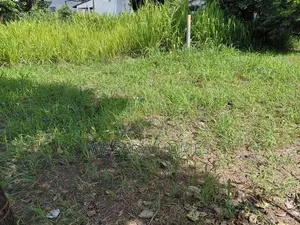Prime Land for Sale Borelesgamuwa